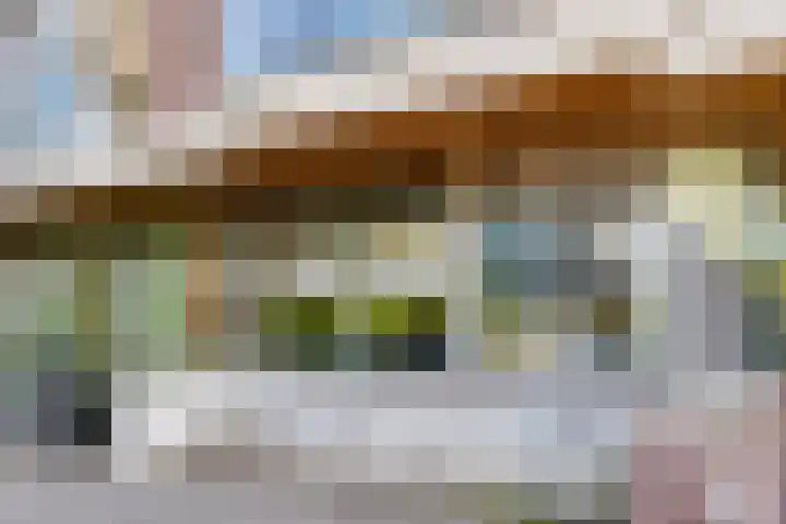 Richard Holkade 45 Haarlem thumbnail 26