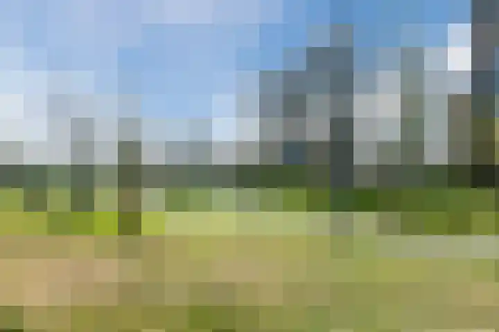 Richard Holkade 45 Haarlem thumbnail 33