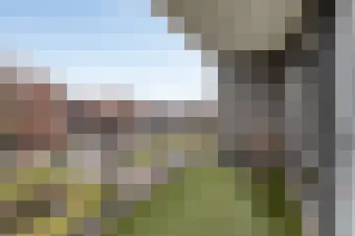 Richard Holkade 65 Haarlem thumbnail 12
