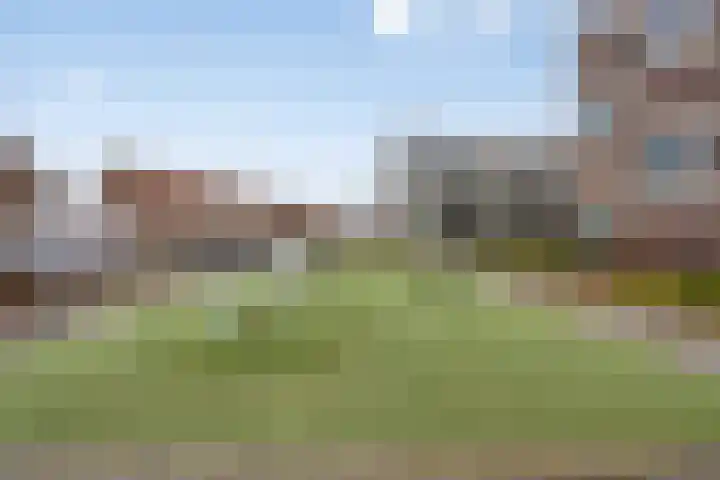 Richard Holkade 65 Haarlem thumbnail 35