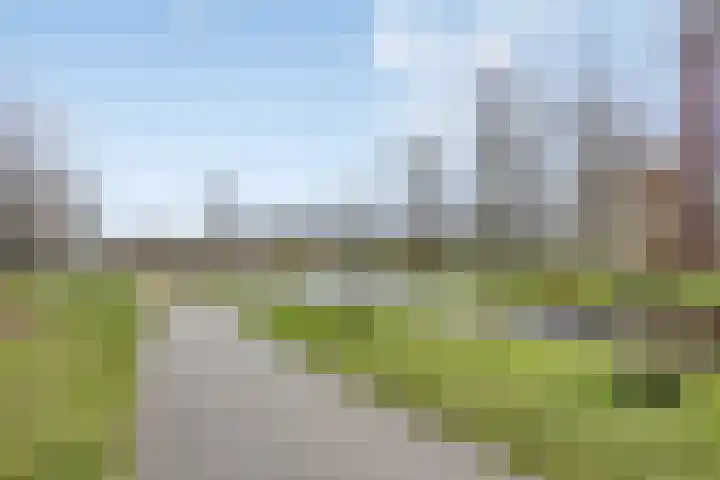 Richard Holkade 65 Haarlem thumbnail 36