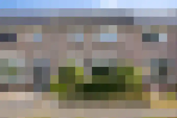 Richel 47 Urk