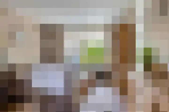 Richel 47 Urk thumbnail 11