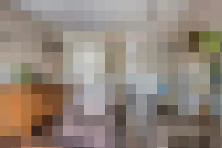 Richel 47 Urk thumbnail 12