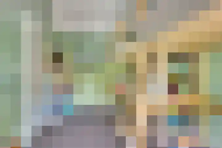 Richel 47 Urk thumbnail 25