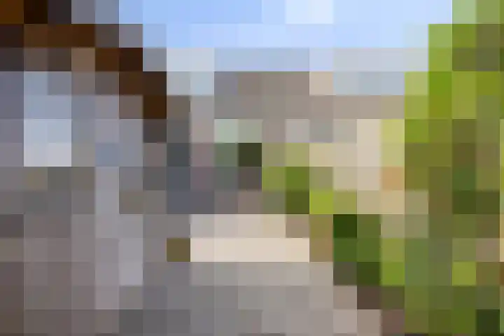 Richel 47 Urk thumbnail 4