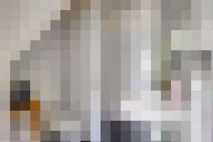 Richel 47 Urk thumbnail 9