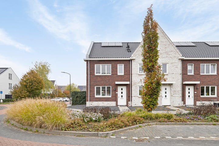 Richter 171 in Werkendam foto