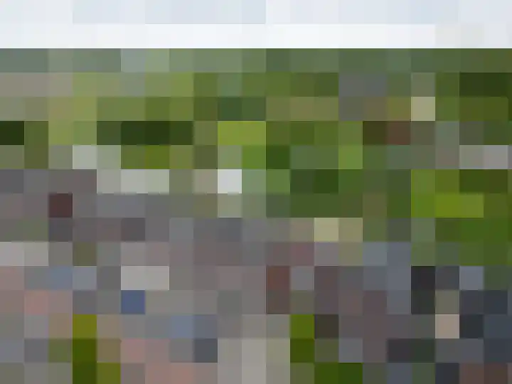Richter 98 dans Werkendam