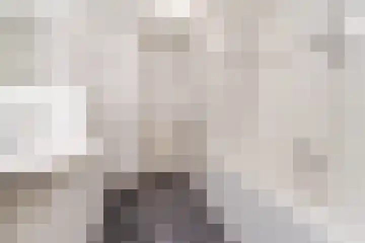 Richterpad 33 Valkenswaard thumbnail 4