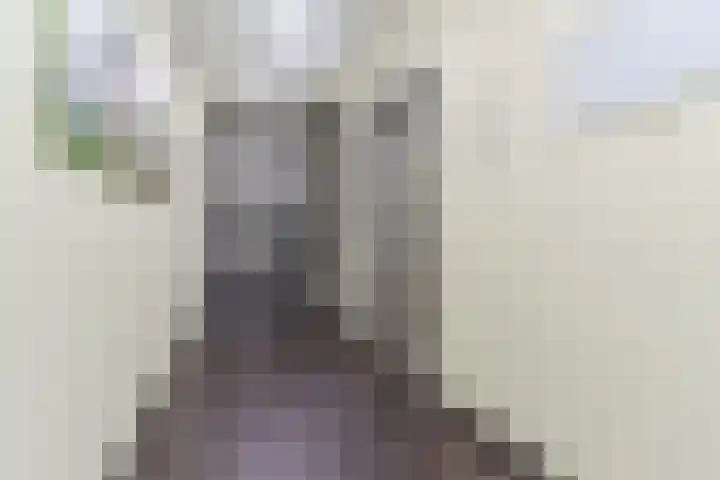 Richterpad 33 Valkenswaard thumbnail 8