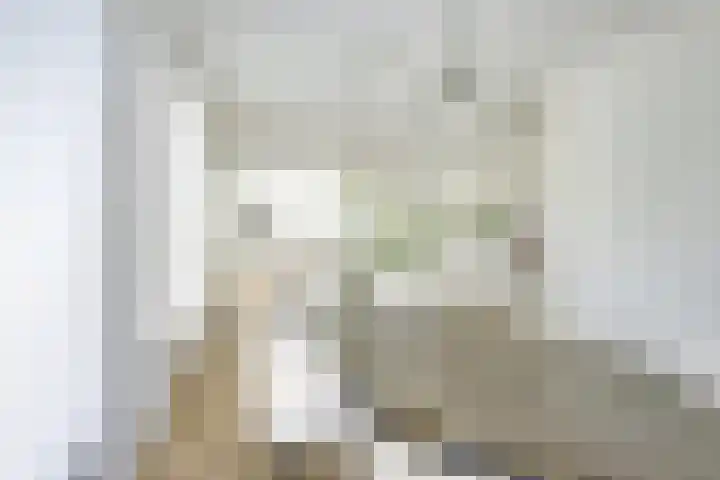 Richterserf 12 Houten thumbnail 14
