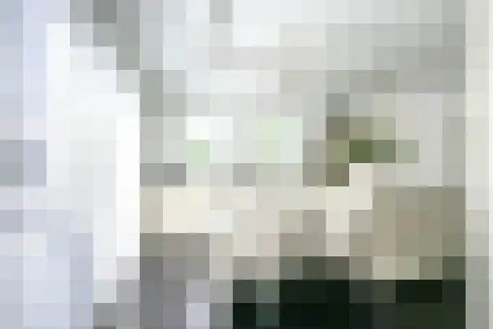 Richterserf 12 Houten thumbnail 16