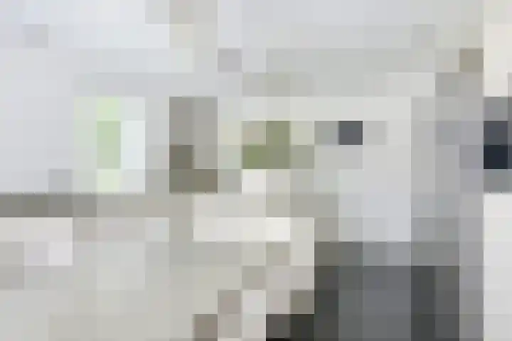 Richterserf 12 Houten thumbnail 17