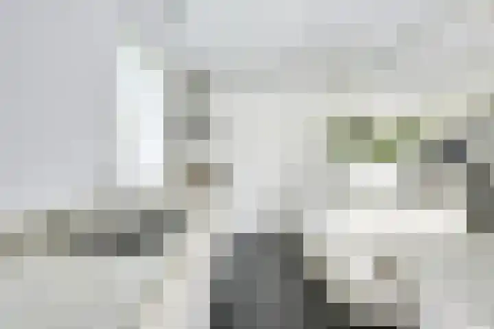 Richterserf 12 Houten thumbnail 18