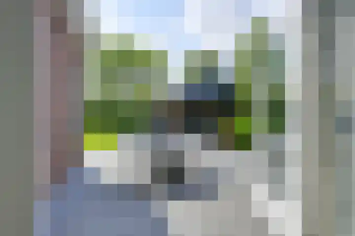 Richterserf 12 Houten thumbnail 21