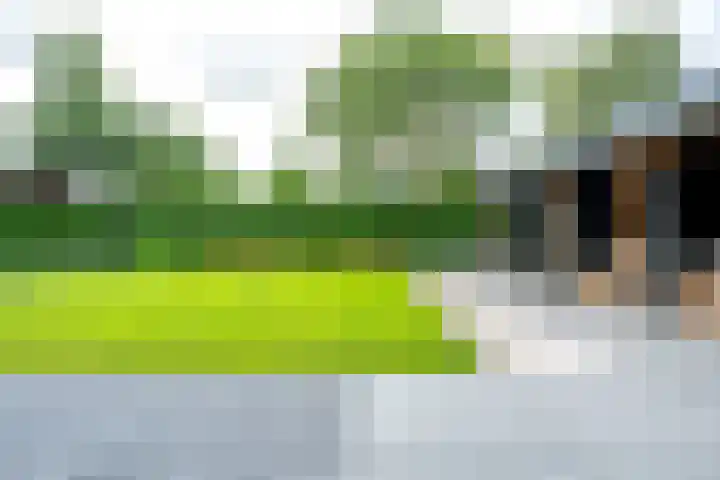 Richterserf 12 Houten thumbnail 34