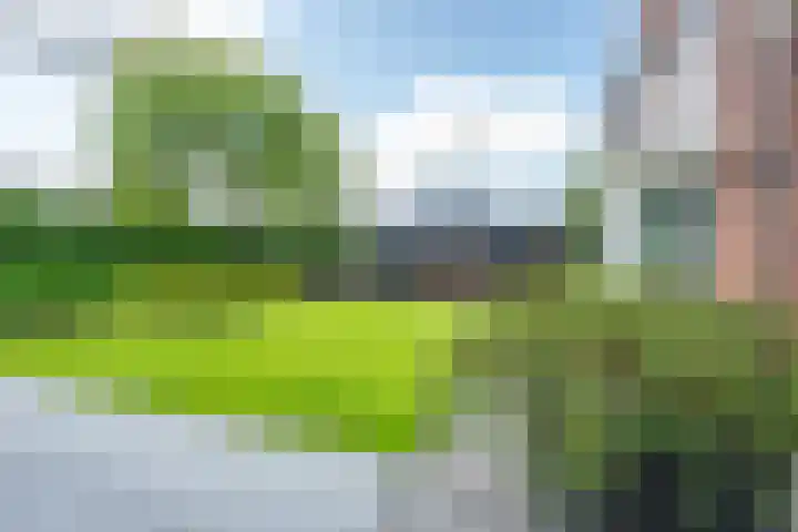 Richterserf 12 Houten thumbnail 35