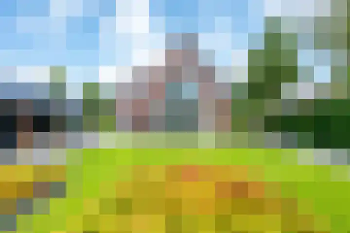 Richterserf 12 Houten thumbnail 38