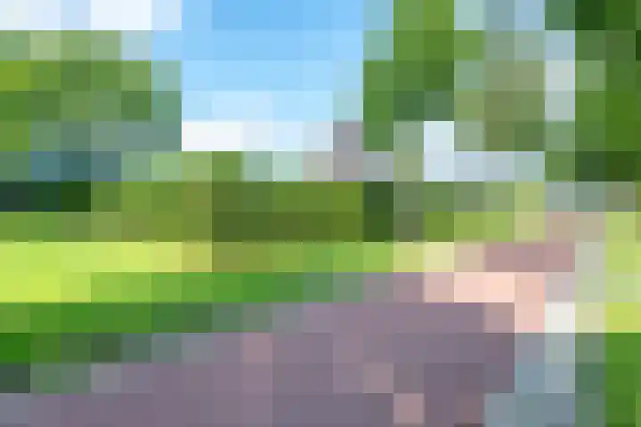 Richterserf 12 Houten thumbnail 83