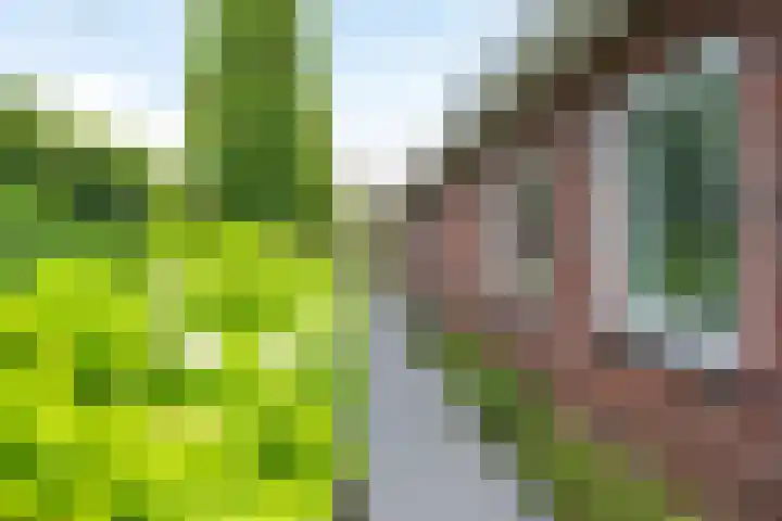 Richterserf 12 Houten thumbnail 88