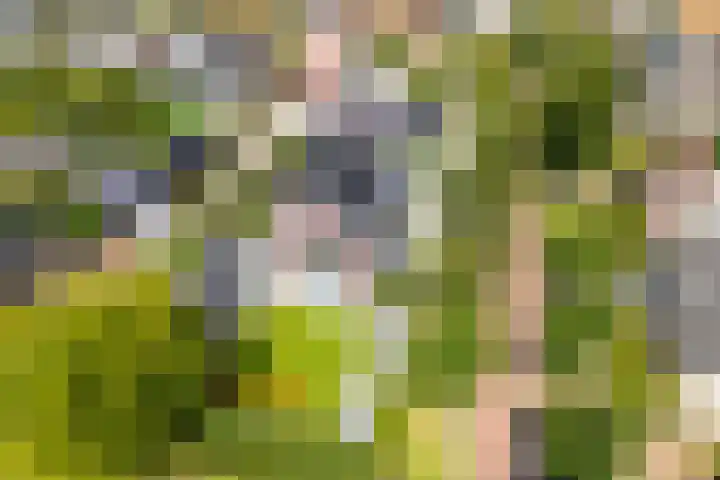 Richterserf 12 Houten thumbnail 90
