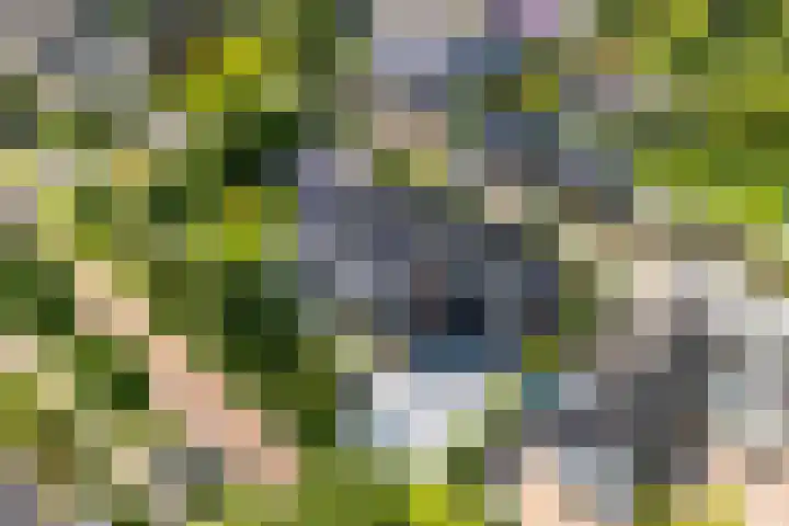 Richterserf 12 Houten thumbnail 92