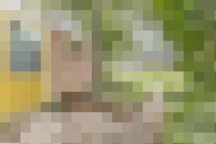 Richthuisstraat 17 Almere foto 2