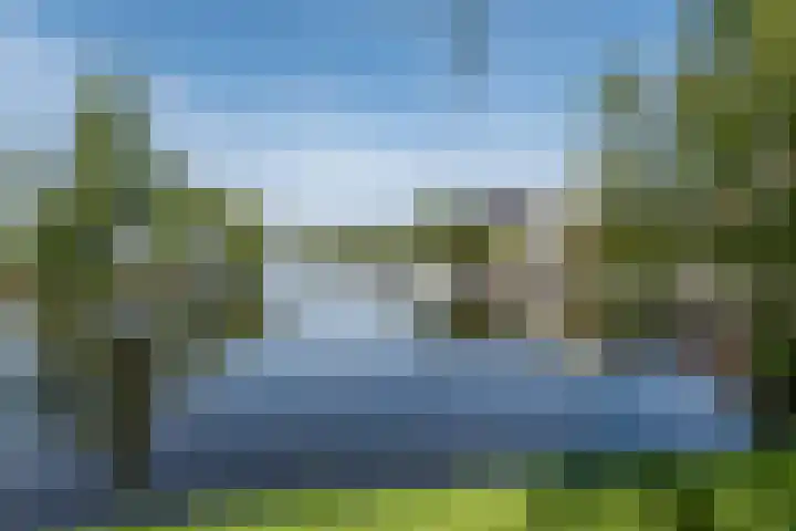 Foto van Rick Martens