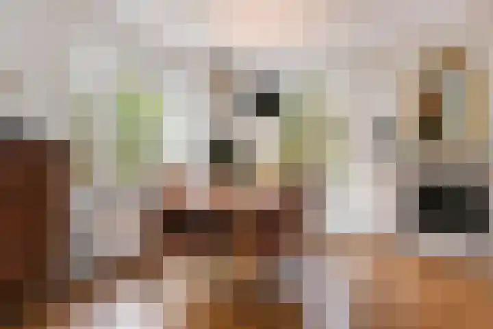 Ridder Robertlaan 13 Doorwerth thumbnail 19