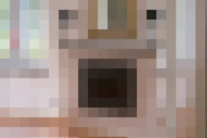 Ridder Robertlaan 13 Doorwerth thumbnail 21