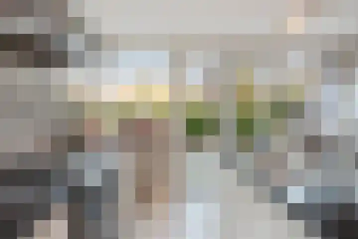 Ridder Robertlaan 13 Doorwerth thumbnail 27