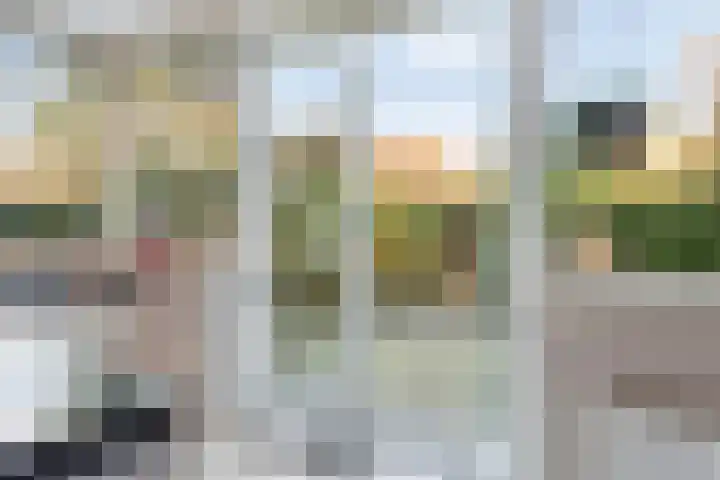 Ridder Robertlaan 13 Doorwerth thumbnail 28