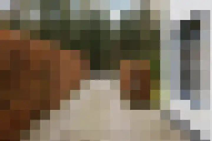 Ridder Robertlaan 13 Doorwerth thumbnail 5