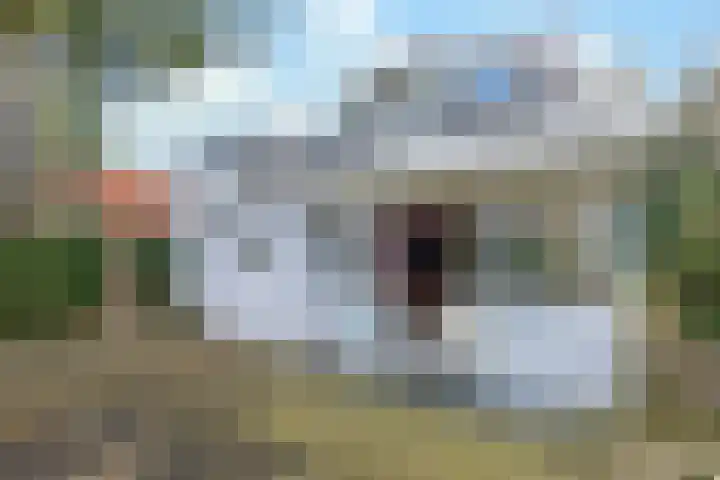 Ridder Robertlaan 13 Doorwerth thumbnail 70