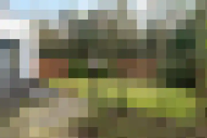 Ridder Robertlaan 13 Doorwerth thumbnail 81