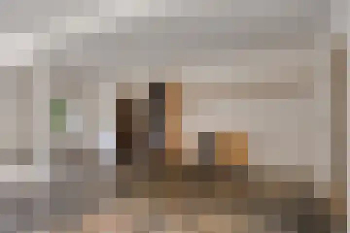 Ridder Robertlaan 3 Doorwerth thumbnail 10