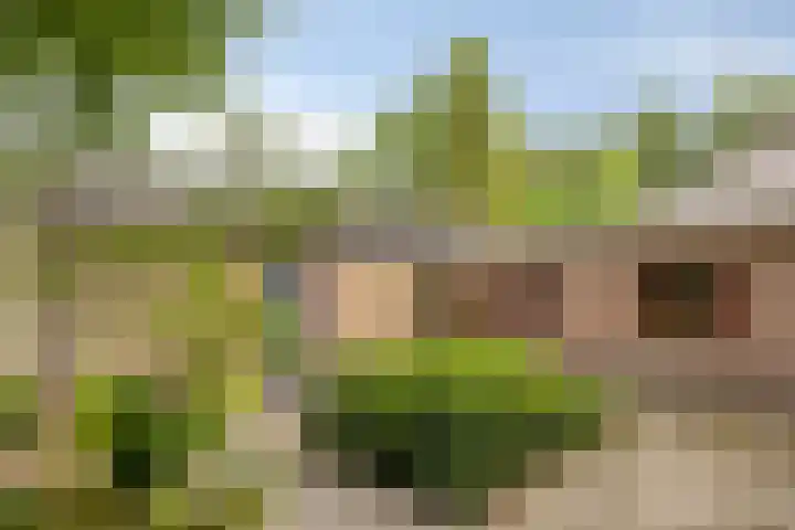 Ridder Robertlaan 3 Doorwerth thumbnail 42
