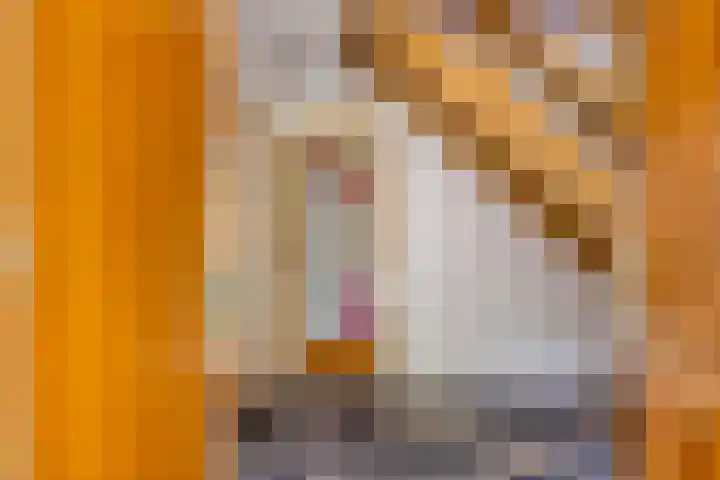 Ridder Robertlaan 3 Doorwerth thumbnail 6