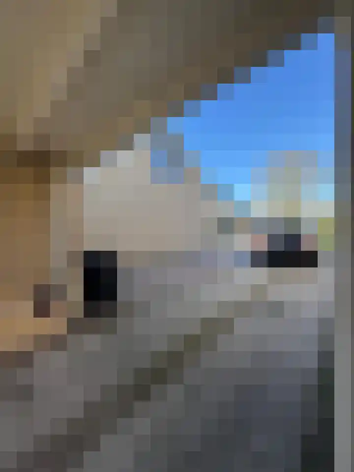 Ridder Robertstraat 5 Zaamslag thumbnail 24