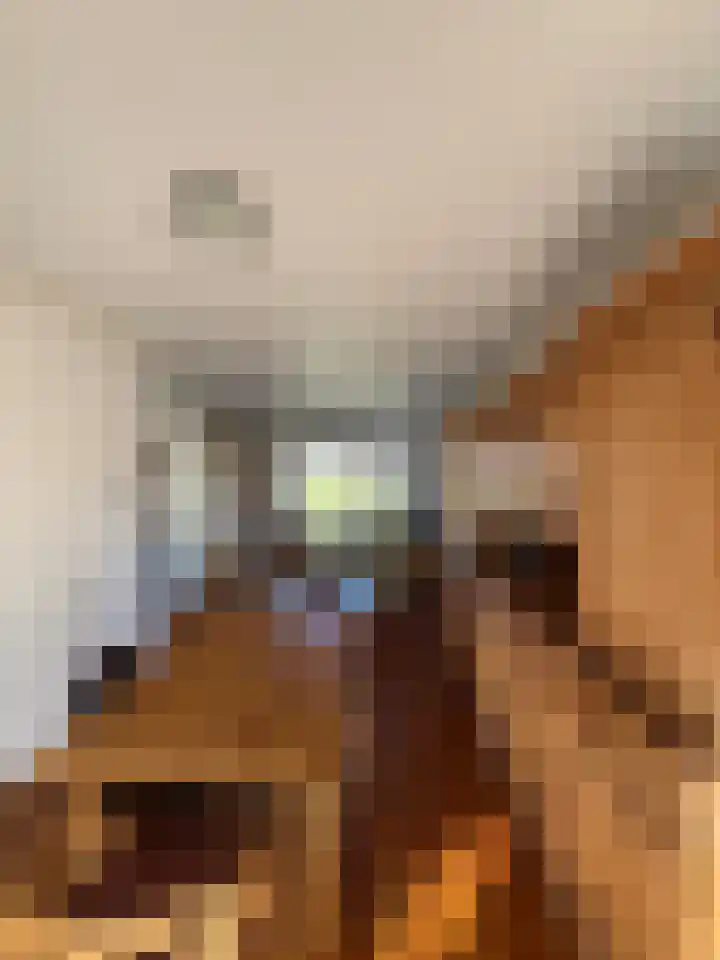Ridder Robertstraat 5 Zaamslag thumbnail 6