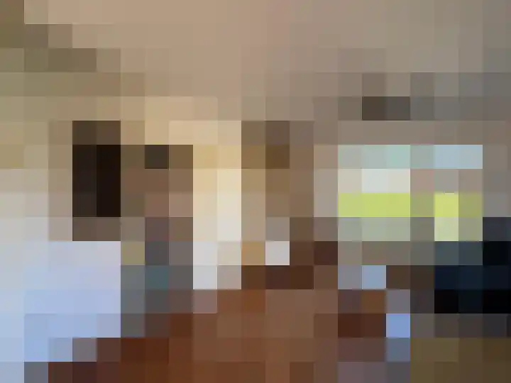 Ridder Robertstraat 5 Zaamslag thumbnail 7