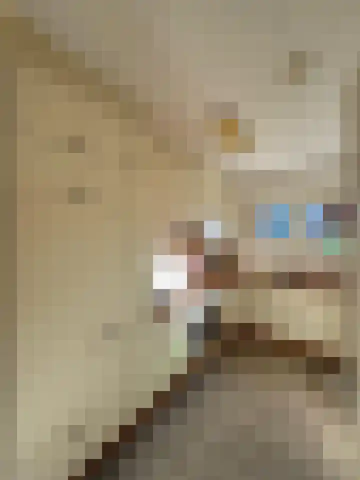 Ridder Robertstraat 5 Zaamslag thumbnail 8