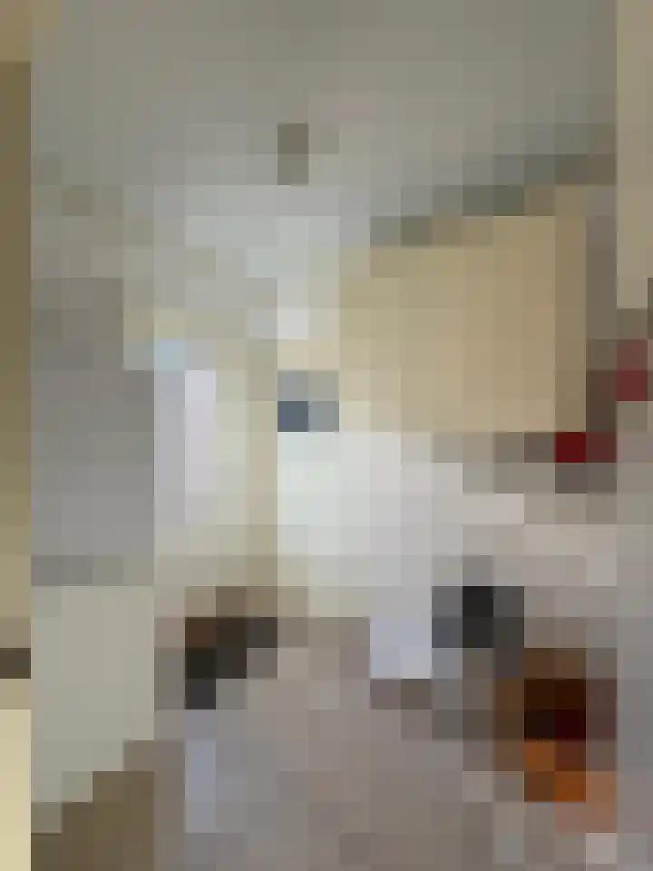 Ridder Robertstraat 5 Zaamslag thumbnail 9