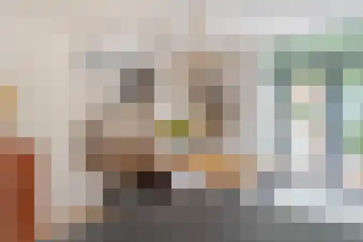 Ridderbuurt 80 Boskoop thumbnail 9