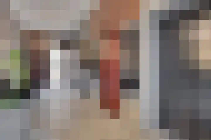 Ridderhof 126 Oss thumbnail 19