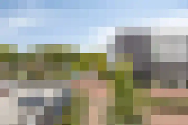 Ridderhof 126 Oss thumbnail 22