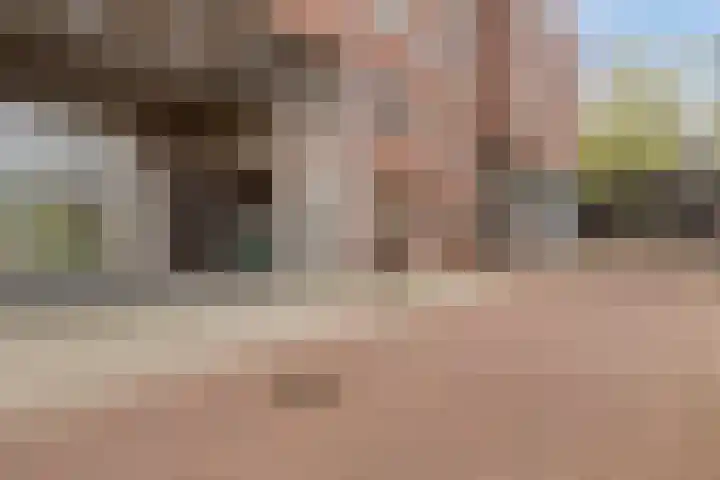 Ridderhof 126 Oss thumbnail 23
