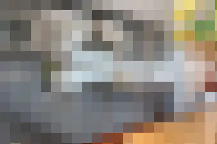 Ridderhof 126 Oss thumbnail 7