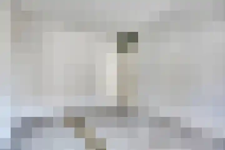 Ridderhof 132 Oss thumbnail 10